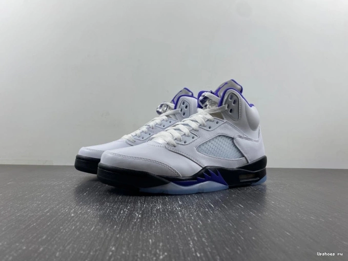 5  DD0587-141 Jordan Retro Dark Concord 0808